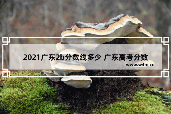 2021广东2b分数线多少 广东高考分数线2b