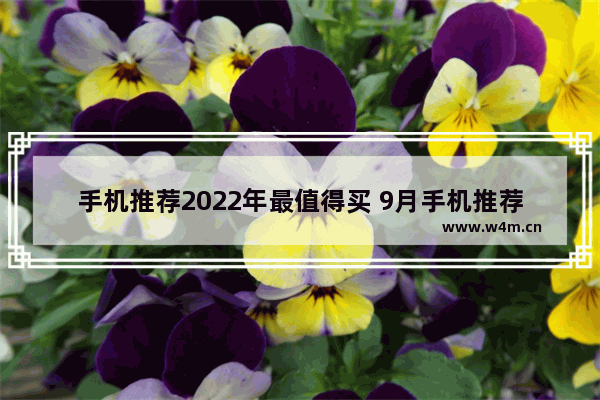 手机推荐2022年最值得买 9月手机推荐性价比高