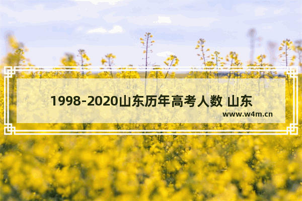 1998-2020山东历年高考人数 山东高考分数线各批次人数