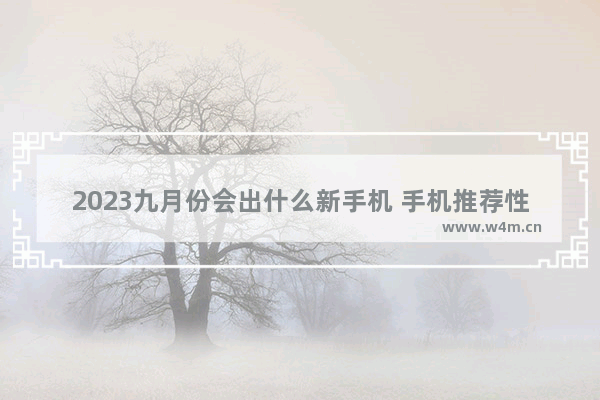 2023九月份会出什么新手机 手机推荐性价比高九月份上市