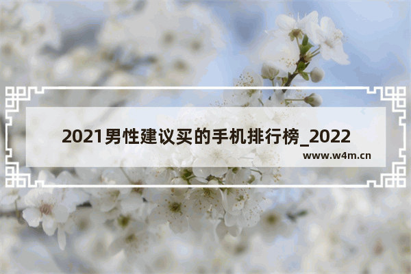 2021男性建议买的手机排行榜_2022男士全键盘手机推荐