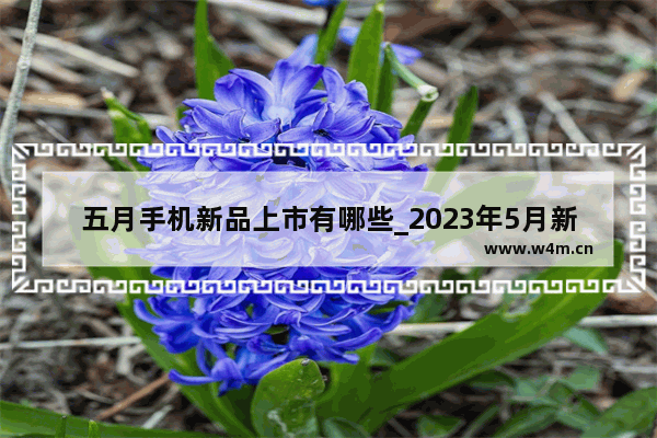 五月手机新品上市有哪些_2023年5月新款手机有哪些