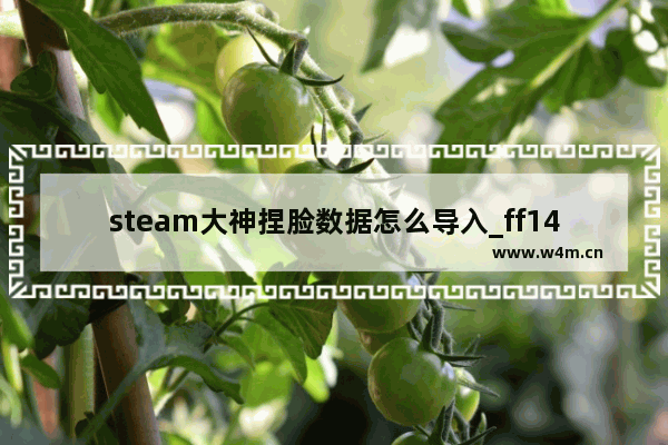 steam大神捏脸数据怎么导入_ff14好看的种族捏脸