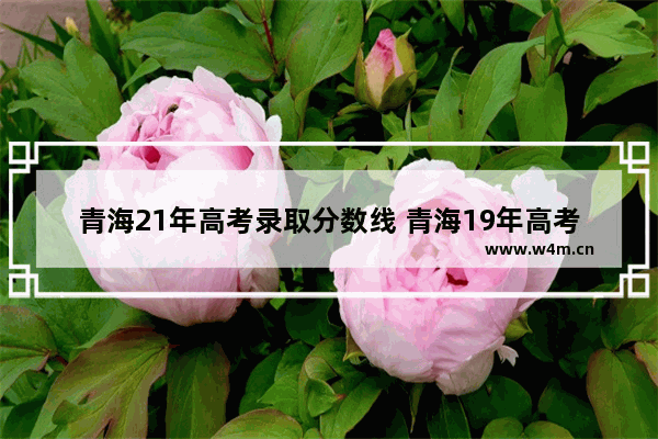 青海21年高考录取分数线 青海19年高考分数线