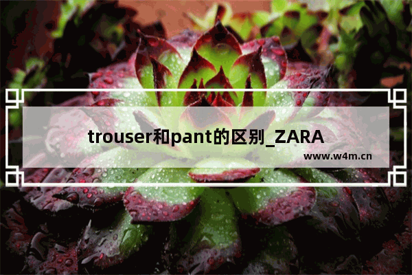 trouser和pant的区别_ZARA男士牛仔裤怎么样