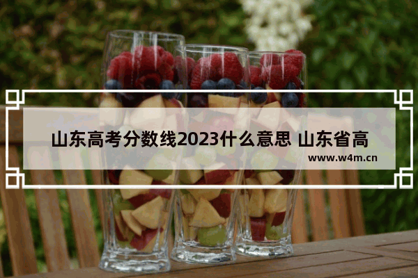 山东高考分数线2023什么意思 山东省高考分数线考