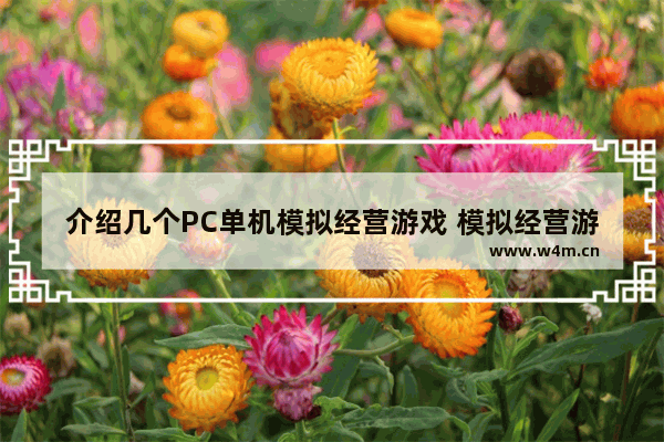 介绍几个PC单机模拟经营游戏 模拟经营游戏推荐单机