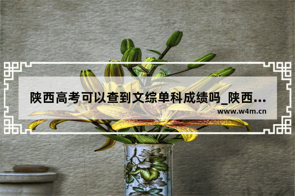 陕西高考可以查到文综单科成绩吗_陕西高考成绩短信发送顺序