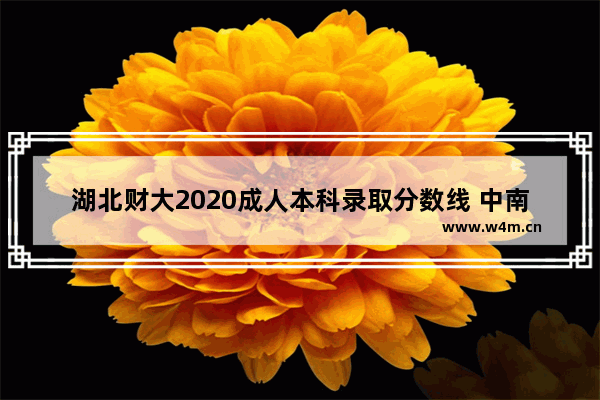 湖北财大2020成人本科录取分数线 中南财大湖北高考分数线