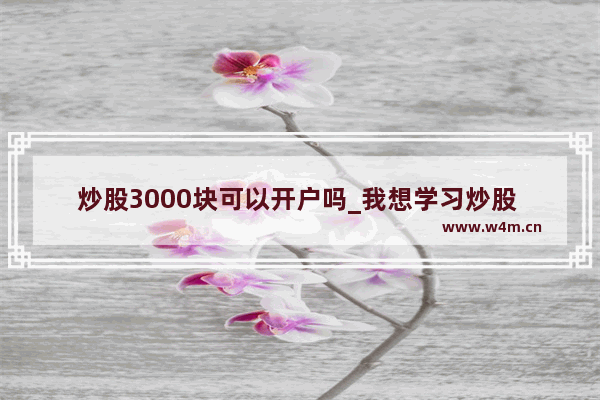 炒股3000块可以开户吗_我想学习炒股 我应该掌握哪些方面的知识