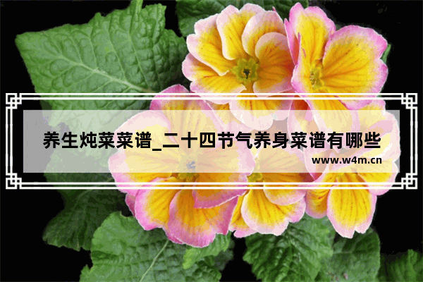 养生炖菜菜谱_二十四节气养身菜谱有哪些