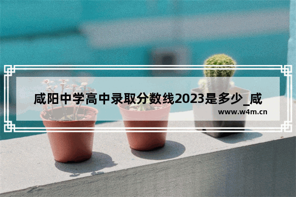 咸阳中学高中录取分数线2023是多少_咸阳2023中考各学校录取分数线