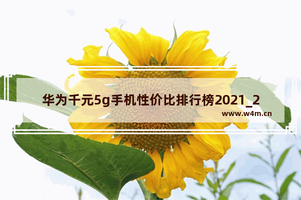 华为千元5g手机性价比排行榜2021_2021年华为千元机哪一款最好