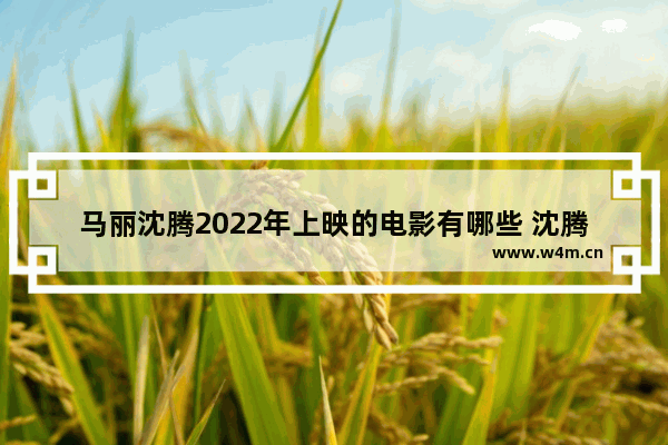 马丽沈腾2022年上映的电影有哪些 沈腾最新电影有哪些名字呢