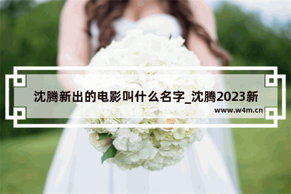 沈腾新出的电影叫什么名字_沈腾2023新电影叫什么