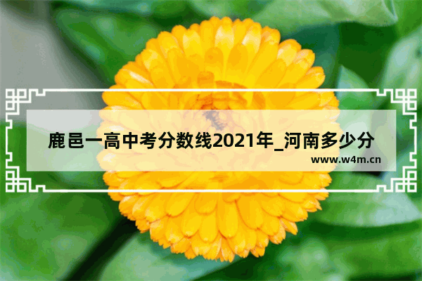 鹿邑一高中考分数线2021年_河南多少分可以复读