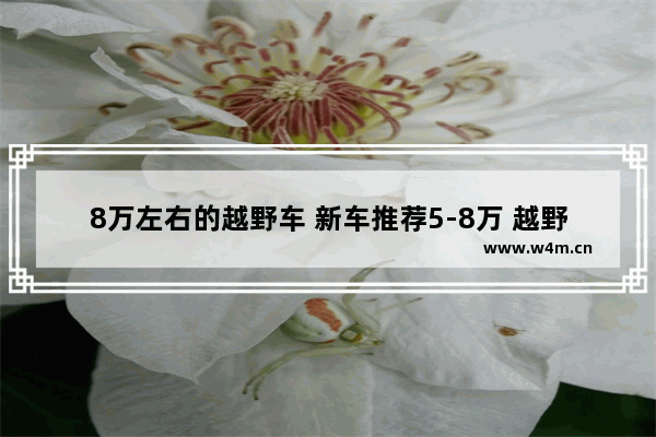 8万左右的越野车 新车推荐5-8万 越野型车有哪些车子呢