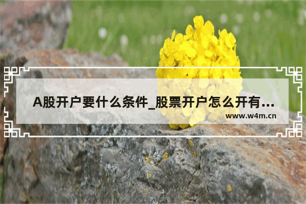 A股开户要什么条件_股票开户怎么开有门槛吗