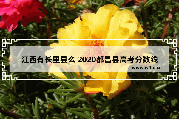 江西有长里县么 2020都昌县高考分数线