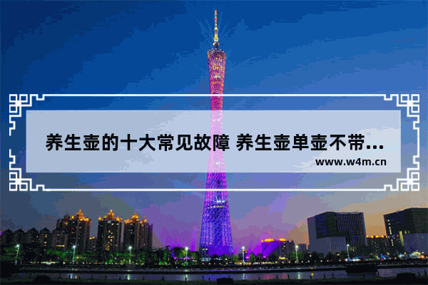 养生壶的十大常见故障 养生壶单壶不带底座志高