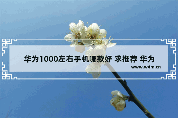 华为1000左右手机哪款好 求推荐 华为千元左右性价比手机推荐哪款