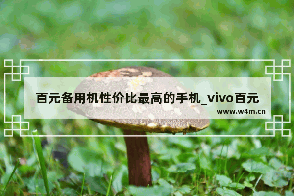 百元备用机性价比最高的手机_vivo百元机性价比之王