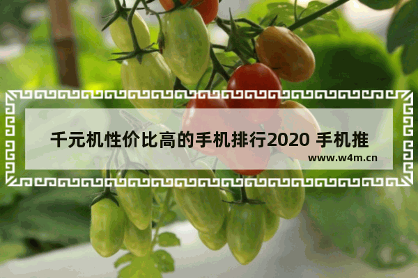 千元机性价比高的手机排行2020 手机推荐性价比高千元手机