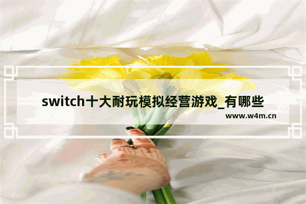 switch十大耐玩模拟经营游戏_有哪些比较好玩的模拟经营类游戏