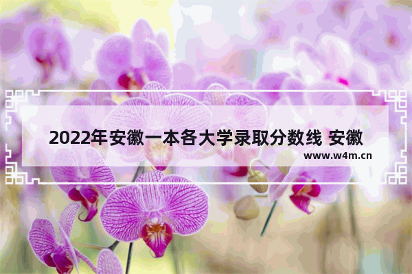 2022年安徽一本各大学录取分数线 安徽省高考分数线估计