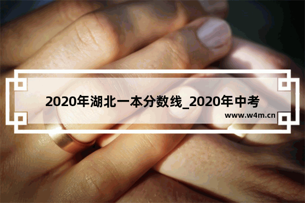 2020年湖北一本分数线_2020年中考职高多少分