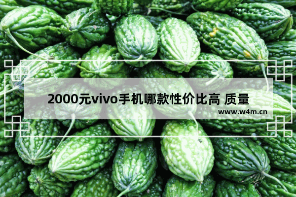 2000元vivo手机哪款性价比高 质量好2021年_两千内手机推荐哪款