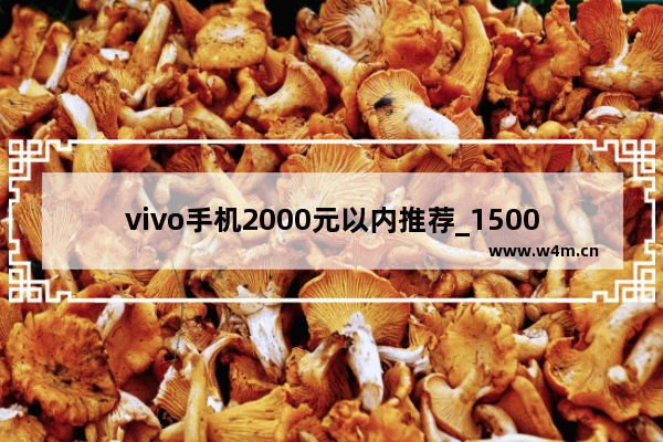 vivo手机2000元以内推荐_1500-2000元vivo手机