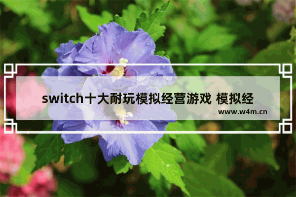 switch十大耐玩模拟经营游戏 模拟经营pc游戏推荐