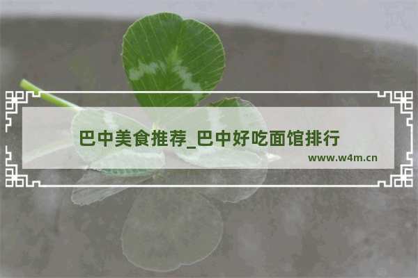 巴中美食推荐_巴中好吃面馆排行