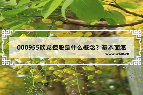 000955欣龙控股是什么概念？基本面怎么样 欣龙控股股票