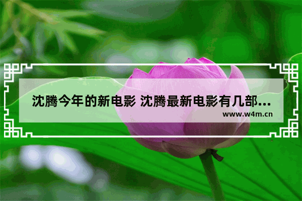 沈腾今年的新电影 沈腾最新电影有几部电影名字叫啥