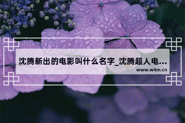 沈腾新出的电影叫什么名字_沈腾超人电影叫啥名字