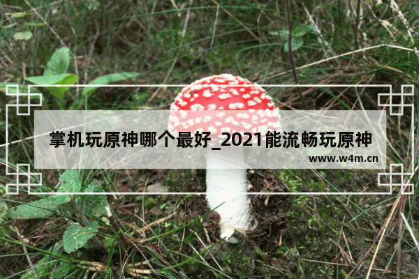 掌机玩原神哪个最好_2021能流畅玩原神的手机