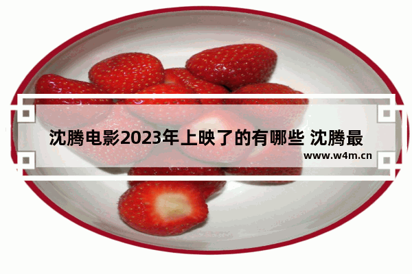 沈腾电影2023年上映了的有哪些 沈腾最新电影没上映吗现在