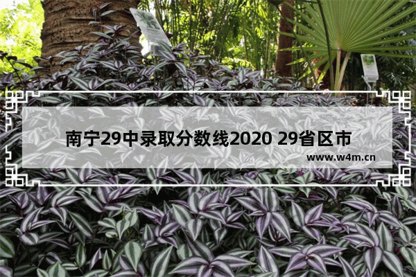 南宁29中录取分数线2020 29省区市高考分数线少