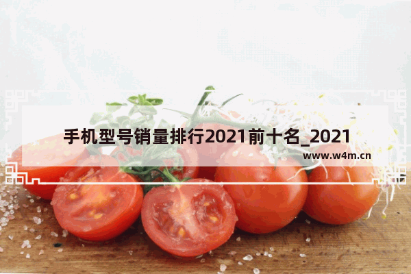 手机型号销量排行2021前十名_2021手机销量排行前十