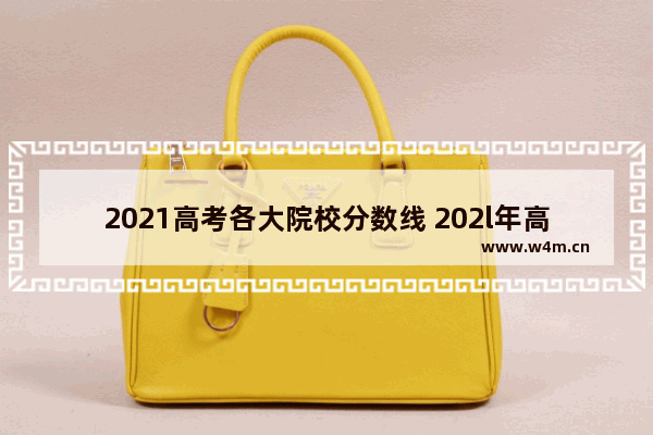 2021高考各大院校分数线 202l年高考分数线