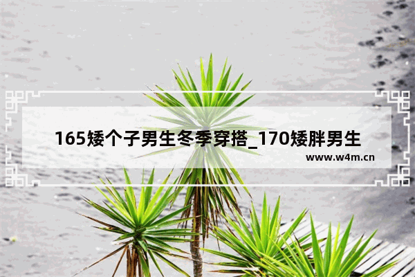 165矮个子男生冬季穿搭_170矮胖男生穿搭冬季