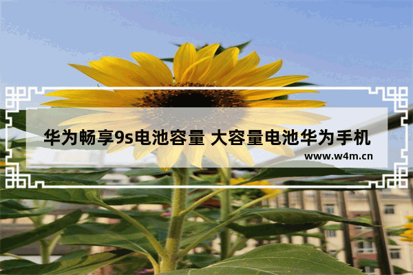 华为畅享9s电池容量 大容量电池华为手机推荐哪款型号