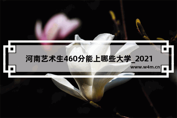 河南艺术生460分能上哪些大学_2021河南艺术生本科录取分数线