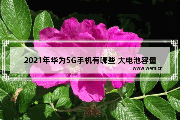 2021年华为5G手机有哪些 大电池容量手机推荐华为5g