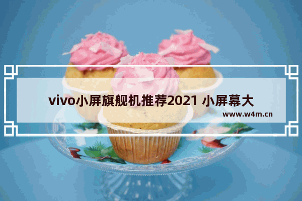 vivo小屏旗舰机推荐2021 小屏幕大电池快充手机推荐哪款