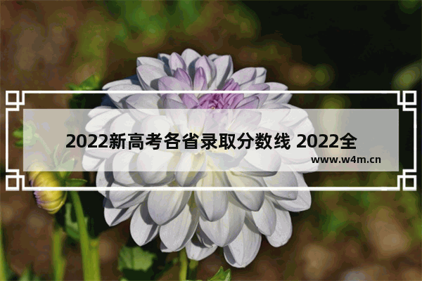 2022新高考各省录取分数线 2022全国卷高考分数线