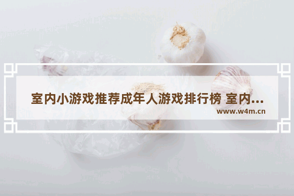 室内小游戏推荐成年人游戏排行榜 室内小游戏推荐成年人游戏排行榜