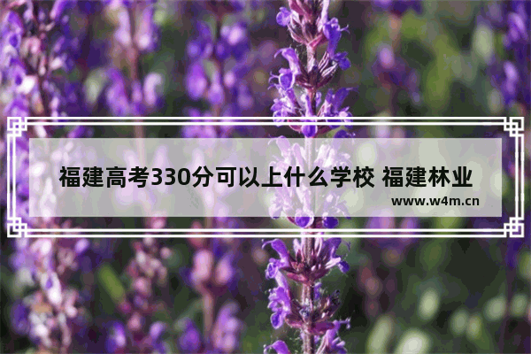 福建高考330分可以上什么学校 福建林业去年高考分数线